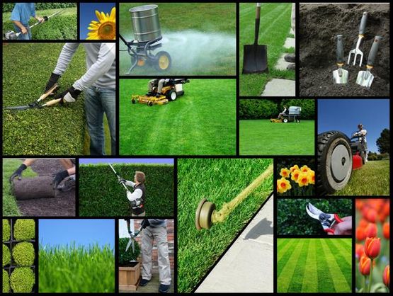 Collage jardinería
